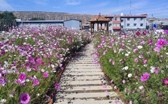 做AJ的姿势视频教程图片